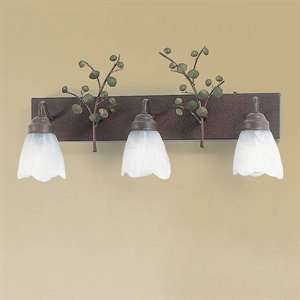  Colorado Dallas BL24GS B 53 AL 3 Light Bathroom Light 