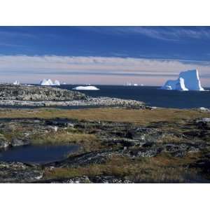 Platform with Autumn Tundra, Qeqertarsuaq (Godhavn), Disko Bay, Island 