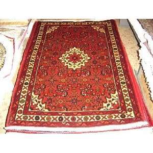   : 3x5 Hand Knotted Hosseinabad Persian Rug   50x34: Home & Kitchen