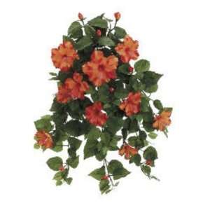 Allstate FBH216 OR 26 in. Orange Hibiscus Hanging Bushes X13  Case of 