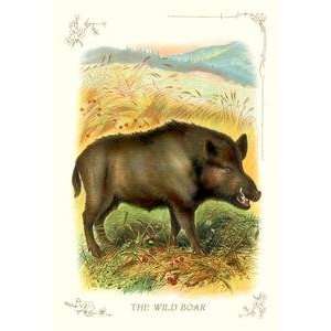  Vintage Art Wild Boar   11201 8