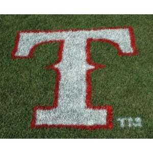  MLB Lawn Logo   Texas Rangers: Sports & Outdoors