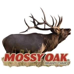  Mossy Oak Graphics 13013 Bugling Elk Decal: Automotive