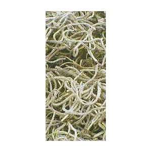  MOSS, SPANISH RAW HERB (1/2 oz.): Health & Personal Care