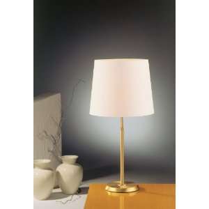   Antique Brass Lamp with Satin White Shade: Home Improvement