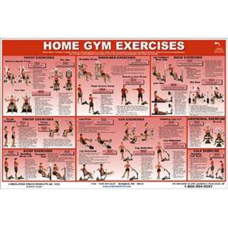  Home Gym Exercises Laminated (Poster) (9780973941197 