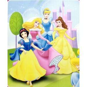   : Disney Princess Royal Plush Raschel Throw Beaming Beauties Baby