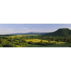  Pasture on a Landscape and a Mountain in the Background, Pikes Peak 