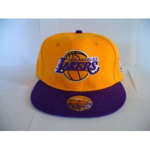   Hat Vintage RARE NBA Purple/ Gold Adjustable RETRO 