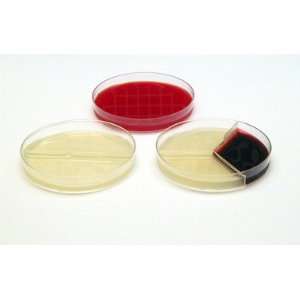  Sabouraud Dextrose Agar Plates Industrial & Scientific