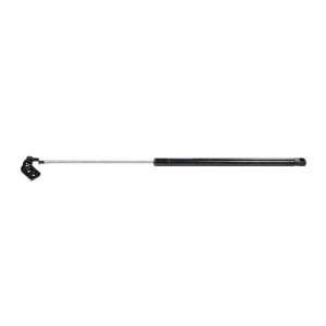  Strong Arm 4839 Hatch Lift Support: Automotive