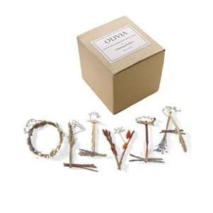    personalized twig letter set (2 4 letters) 