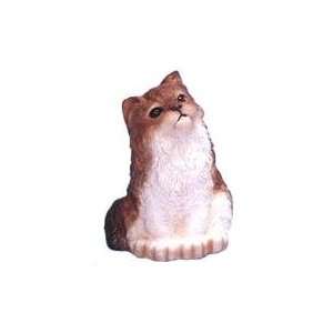  Brown Longhair Cat Coin Bank: Toys & Games