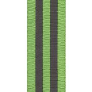   Stripes Craft Ribbon, 7/8 Inch Wide by 50 Yard Spool, Apple Green