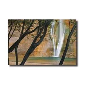  Calf Creek Falls Giclee Print