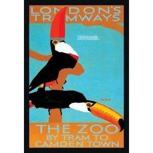  Vintage Art London Zoo: South American Toucans   01490 3 