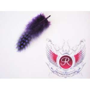 Glam Rock Hair Extension Feather (Purple/Black)
