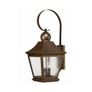   Bronze Outdoor XL Wall Light PLUS eligible for Free: Home Improvement