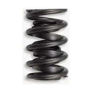  Lunati 73100 1.450IN VALVE SPRINGS: Automotive