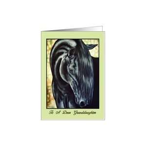  Birthday Granddaughter   Black Horse Friesian Card: Toys 