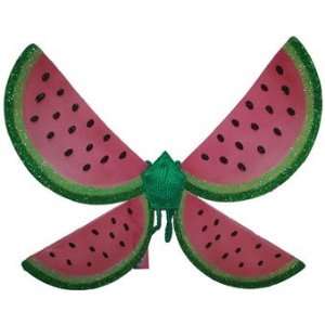  Girls Watermelon Fairy Wings   8192: Everything Else
