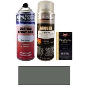  12.5 Oz. Steel Gray Metallic Spray Can Paint Kit for 2010 