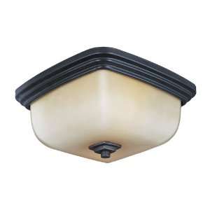  World Import Designs 8572 88 Galway 1 Light Flush Mount in 