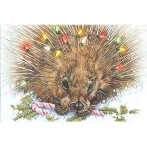   Boxed Christmas Cards Princely Porcupine Health & Personal Care