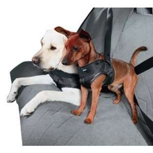 BMW Dog Safety Harness  LARGE (60 90 lbs): Everything Else
