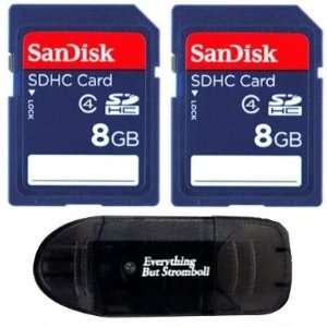   Memory Card SD HC with Everything But Stromboli (tm) Card Reader