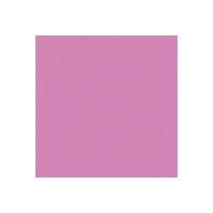  Rosco Roscolux Billington Pink, 20 x 24 Color Effects 