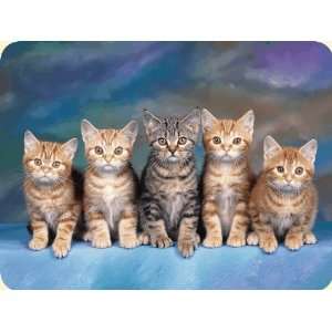  Cat Mouse Pad: Office Products