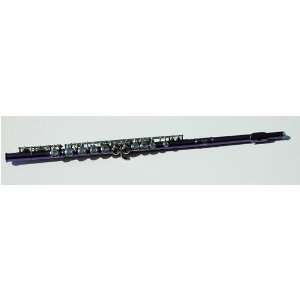   PURPLE BEAUTY SCHOOL BAND / ORCHESTRA FLUTE: Musical Instruments