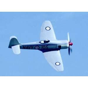   Collins   Hawker Sea Fury Giclee on acid free paper: Home & Kitchen