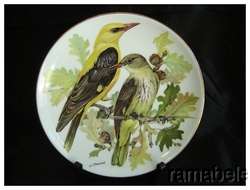 Oriole Bird 22k Gold Band Ursula Europe Songbird Plate  