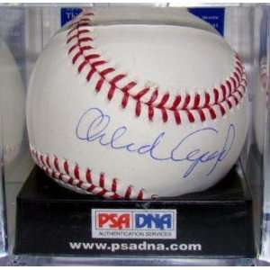  Signed Orlando Cepeda Ball   Official PSA DNA MINT 9 