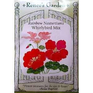  Nasturtium Rainbow Whirlybird Mix Seeds: Patio, Lawn 