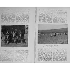  1913 Gobi Desert Sport Mongol Herds Camp Ovis Head