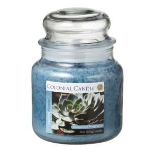  Pack of 4 Cactus Flower Aromatic Jar Candles 15oz