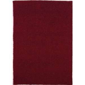   Runner Area Rug Contemporary Style in Red Miso Color