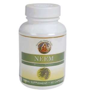  Neem  Azadirachta Indica   For System Purifier Everything 