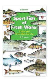   Fish of Florida by Vic Dunaway, Florida Sportsman Magazine  Paperback