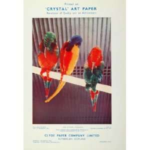  1933 Ad Parrots Tropical Birds Clyde Paper Rutherglen 