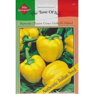  Cuneo Giallo F1 Hybrid Pepper 50 Seeds Taste of Italy 