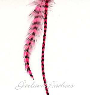 Whiting Grizzly Feather Hair Extensions U Choose Color  