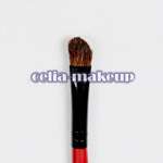 30 pc Red&Black Deluxe Mineral Make up Brush set [BS22]  