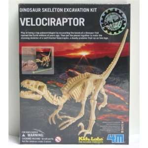  Dinosaur Skeleton Excavation Kit Velociraptor: Toys 