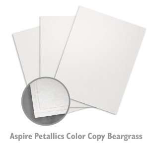  ASPIRE Petallics Color Copy Digital Beargrass Paper   500 