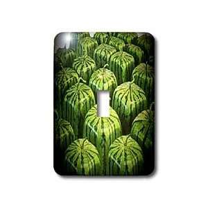 Sandy Mertens Food Designs   Square Watermelons   Light Switch Covers 