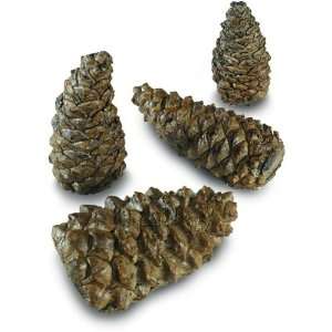  Peterson Wilderness Pine Cones